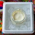 Noni Ghee (Asli Butter )  buy Our Noni Ghee First In The Market